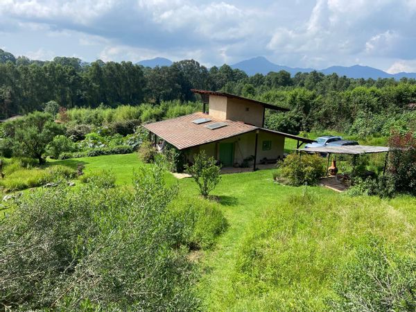 Gorgeous mud brick cottage with syntropic forest and independent Japanese style wood studio, in the middle of the forest