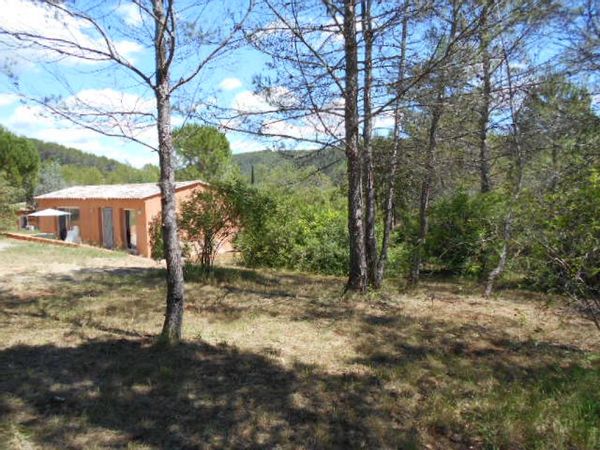 JOLI MAZET PROVENCAL EN PLEINE NATURE