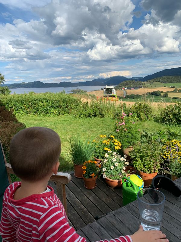 huis van Synne Thorson