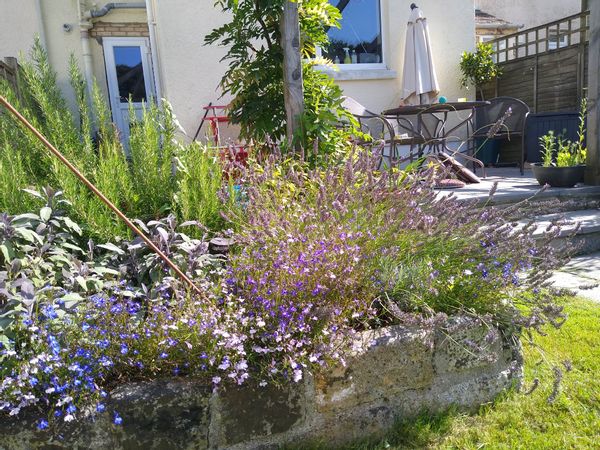 Family home in the 'Gateway to Dartmoor'