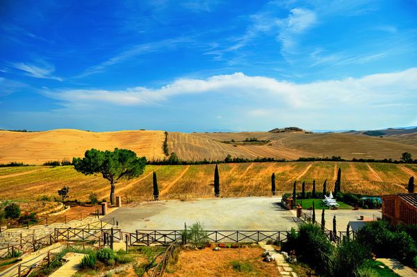 Facing the beautiful XIX Century Farm of Splandole, farm of historic importance and symbol of the Crete Senesi area