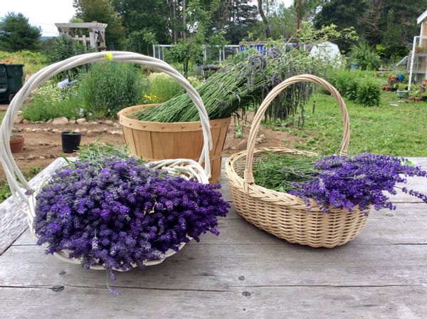 Casa di Robert & Lynette