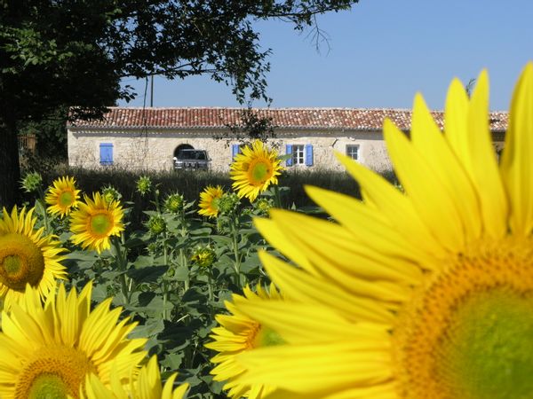 200 yr old beautifully restored French farmhouse