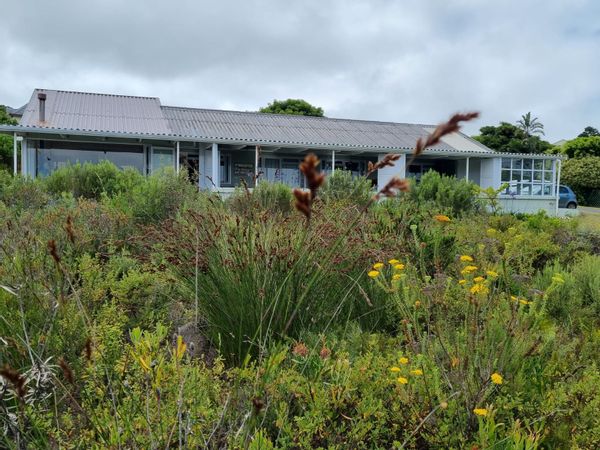 Cheerful, bright coastal home set in natural unspoilt surroundings.