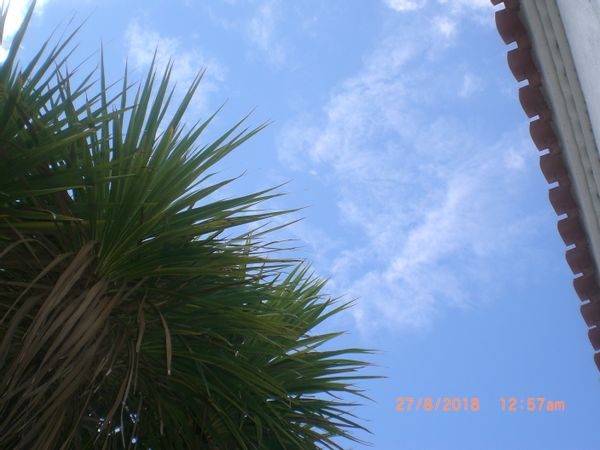 Longère sur la côte vendéenne