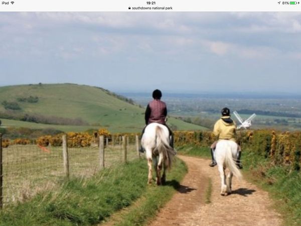La maison de Michael