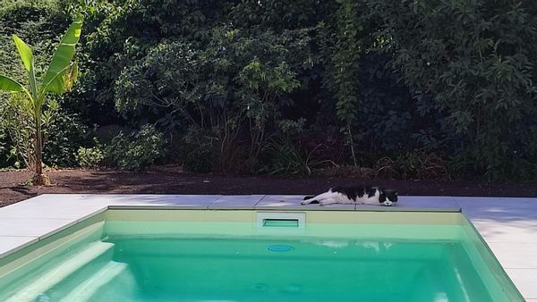 Maison moderne avec jardin et piscine au calme