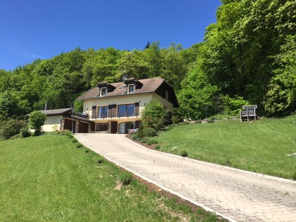 Au-dessus de Genève vue panoramique sur les Alpes