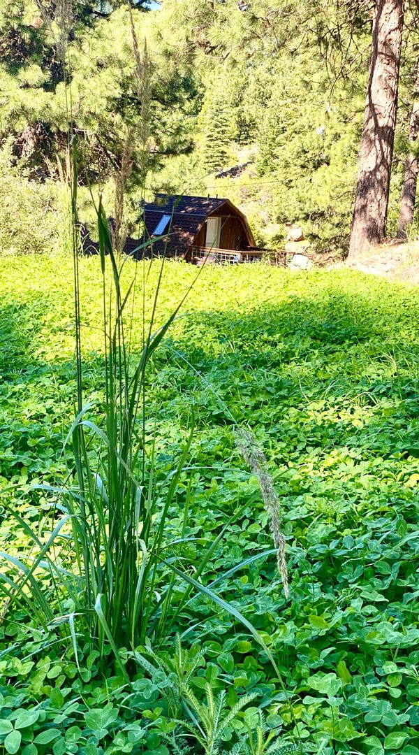 The Buddha Barn with mountain view an outdoor shower