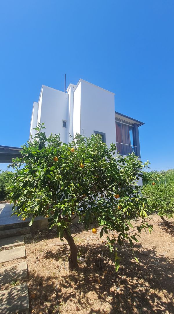 Casa de Talha