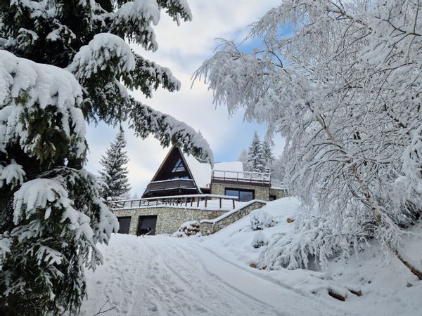 le chalet pointu de capucine aux arcs 1600