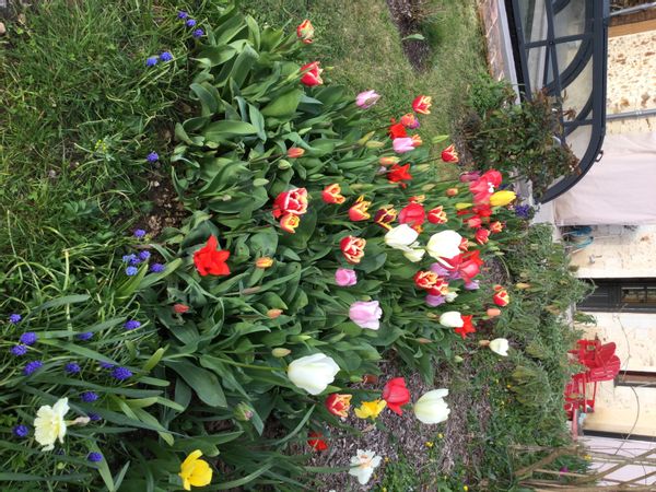 La maison d'Antoine et Laurence