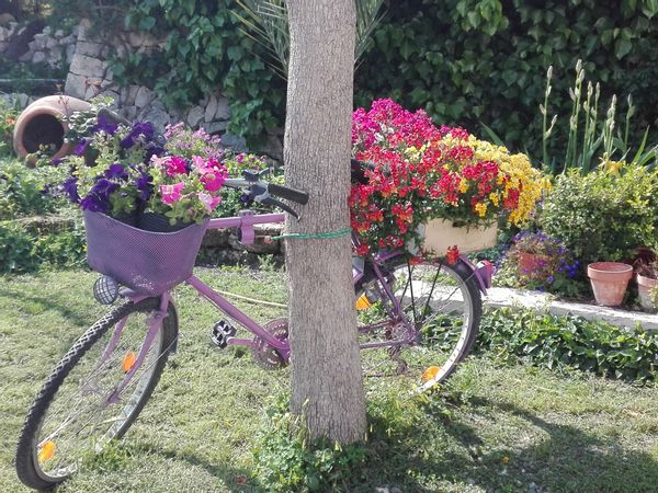 Aroa y Carles's house