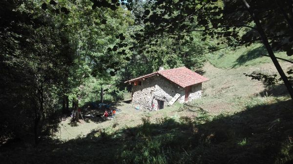 Alex's house