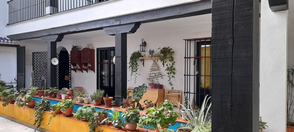 Mercedes & Irene's house