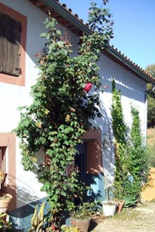 Casa di Veronica M. Alvarez Ruiz