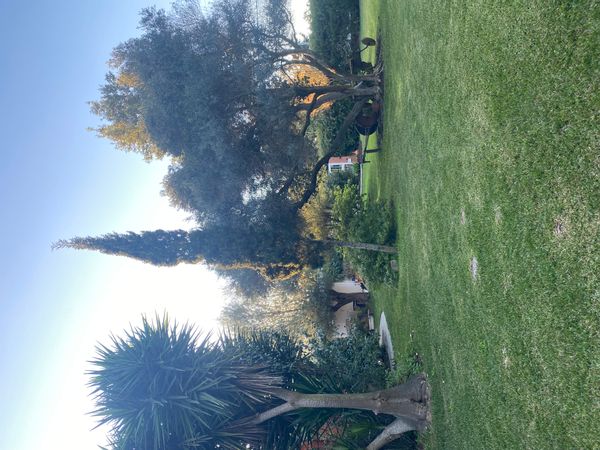 home