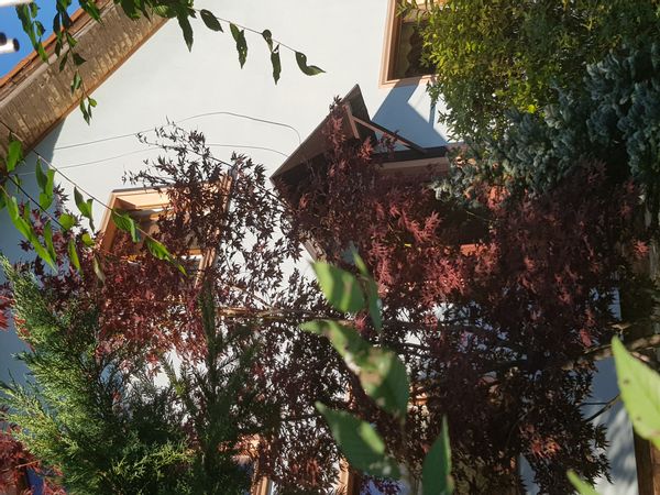 La maison de ADINA-ROXANA