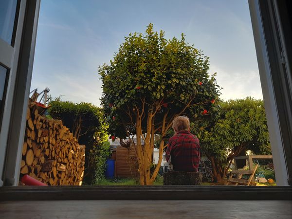 Dispo du 6 au 12 juillet - petite maison tranquille, chat câlin