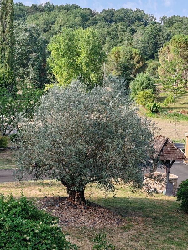 Casa de Fabienne & Bruno