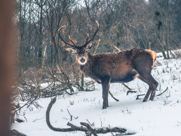 Sylvain & Maries hus