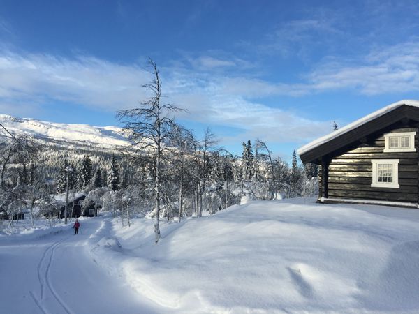 Fjellhytte 2,5 time fra Oslo! Bytter helger, ukedager høst/vinterferien mot sjøhytte juli 2026