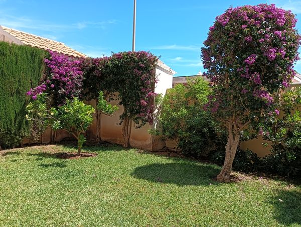 JAVIER's house