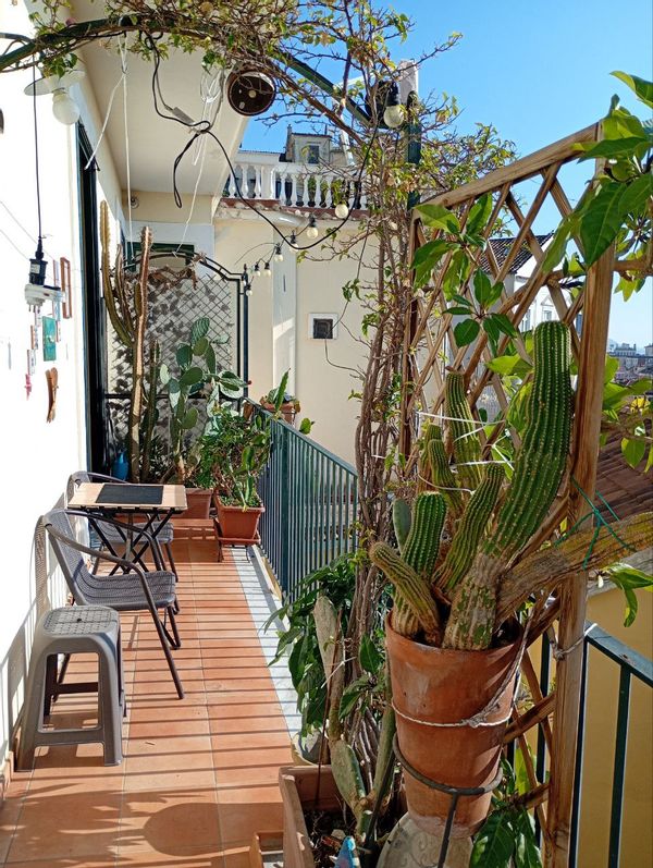 Vincenzo Luca's house