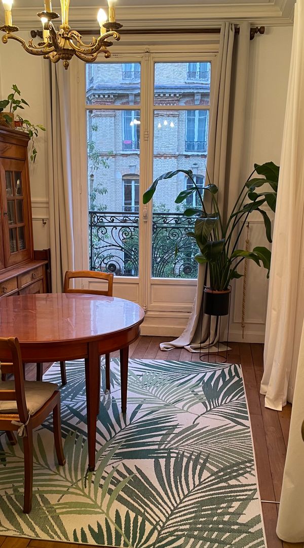 Cozy Parisian flat