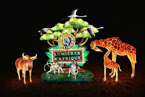 Le chalet intimiste de Jean paul et Corinne