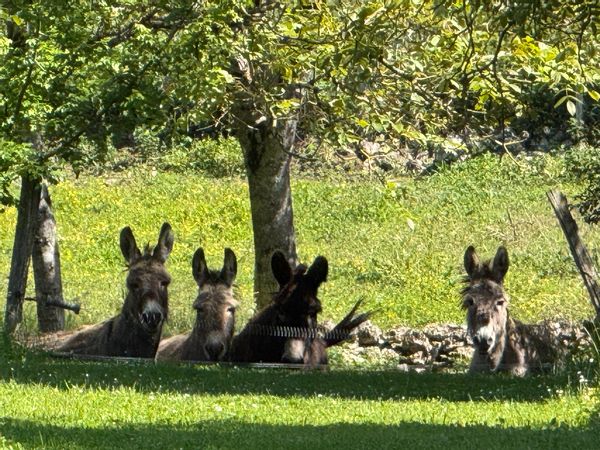 Maison familiale depuis 1880 face au Mont St Joseph