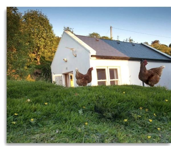 Cosy Cottage with stunning views of Lough Derg