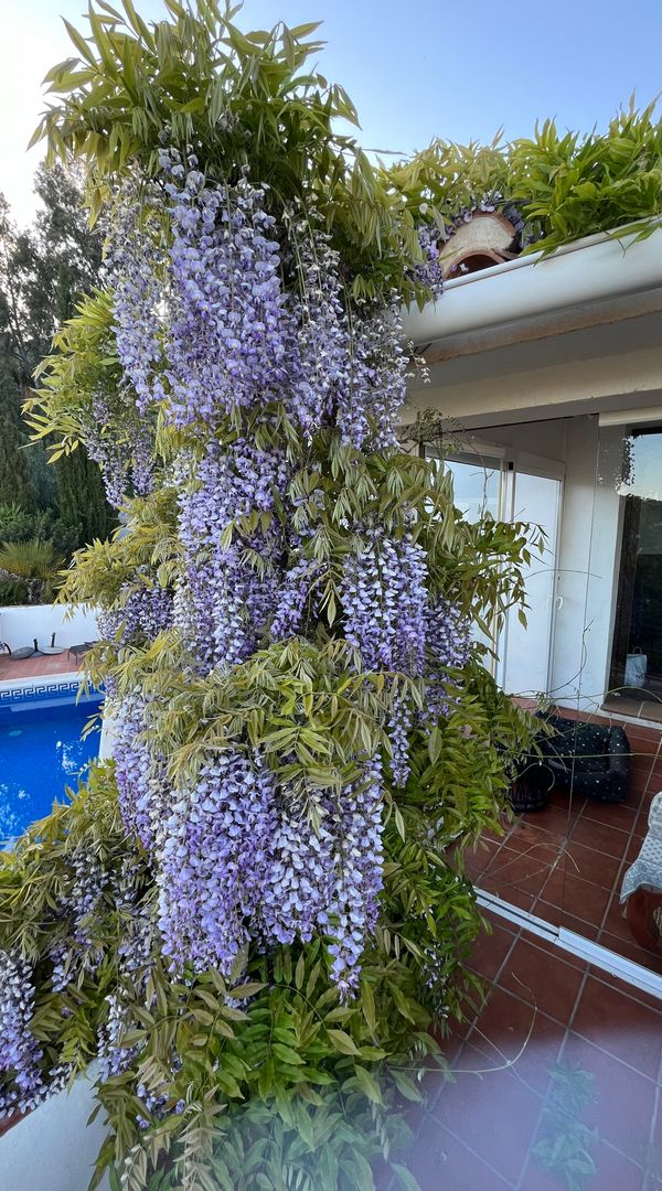 Casa di Mairead