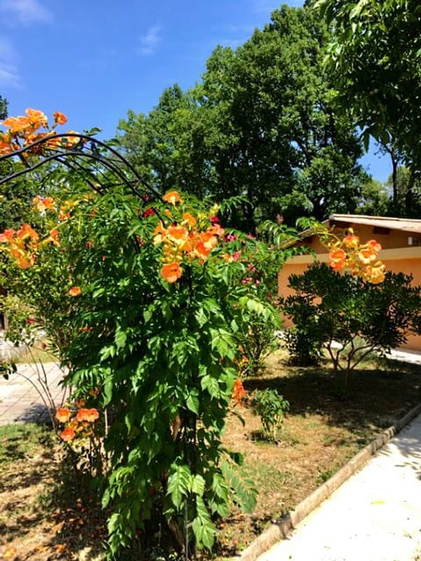 LE MAS DE  LA SOURCE: COEUR ET SENS.