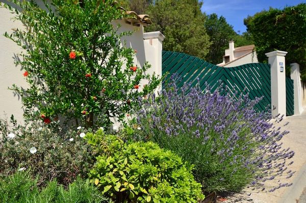 La maison de Josy, entre chênes et pins.