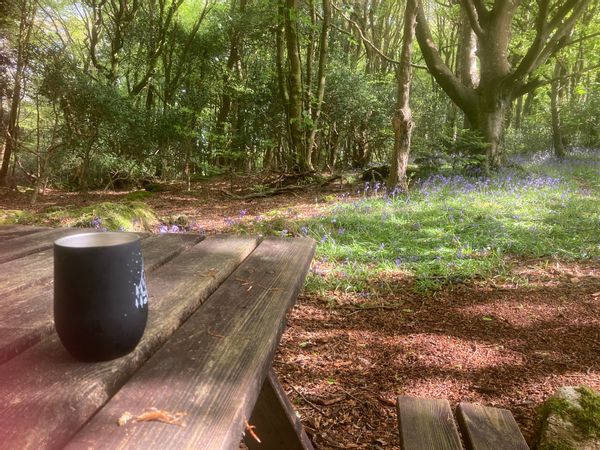 Nous cherchons un échange pour le mois d’août (4 semaines si possible)