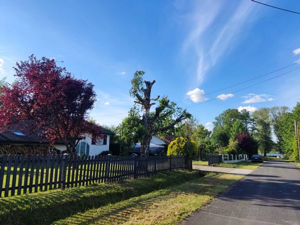 La Rhodesienne du Stock