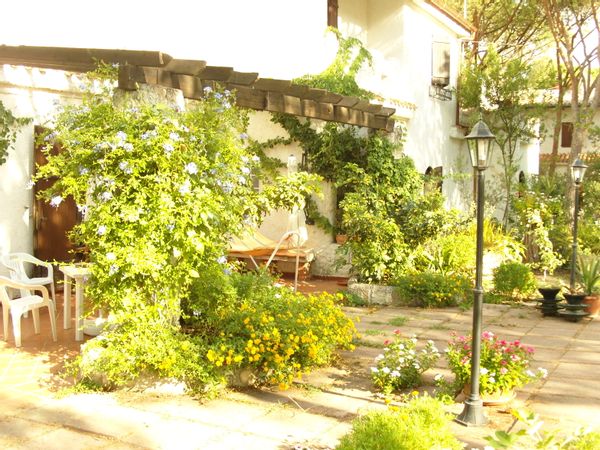 patrizia's house