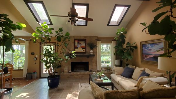 Tranquil Plant-lover's Garden Home in San Antonio