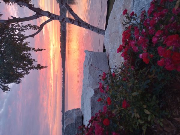 La maison de Jessica