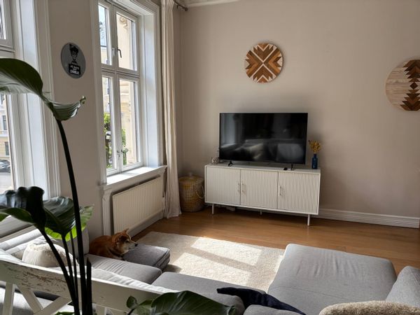 Appartement spacieux à Oslo pour 4/5 pers + petit chien pour vous tenir compagnie (Shiba Inu 