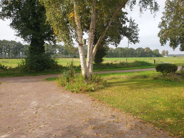 Family home in the nature by the Pieterpad