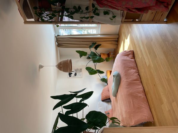 home away from home | Lucerne town