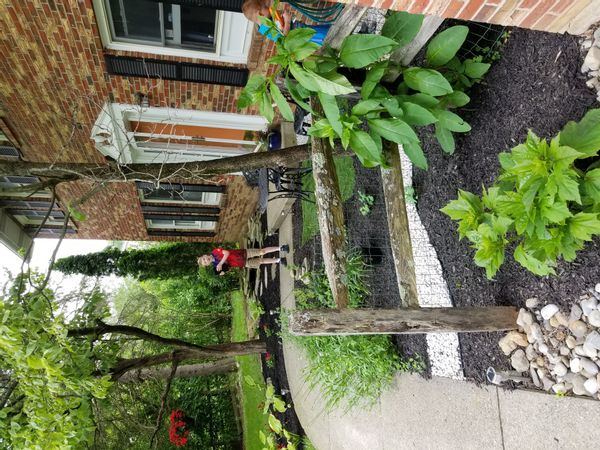 La maison de Anne & Scott