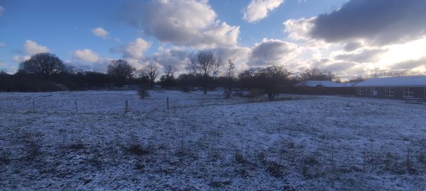 La maison de ricardo