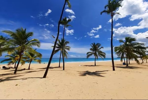 Patricia Gissels hus