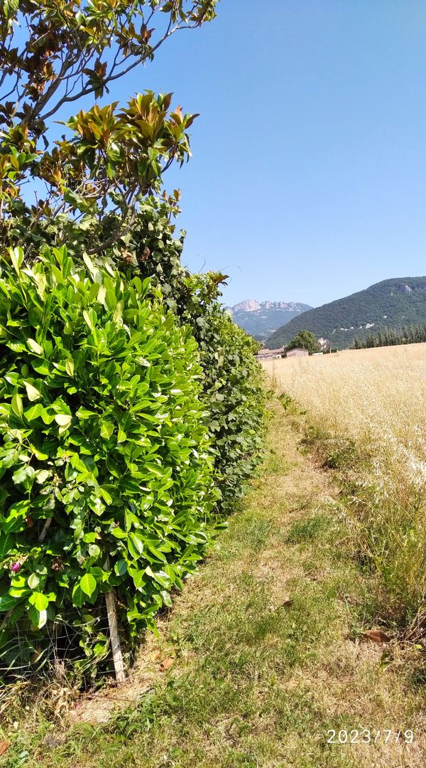 La maison de ANNE MARIE