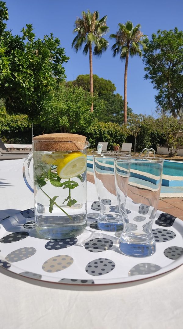 La maison de Los Mariezcu-Joubs