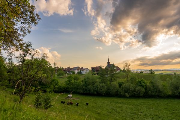 Séjour au vert dans une maison suisse avec jardin, cheminée et accès direct à la forêt