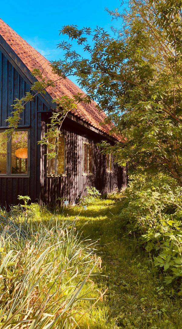 Magical Forest House